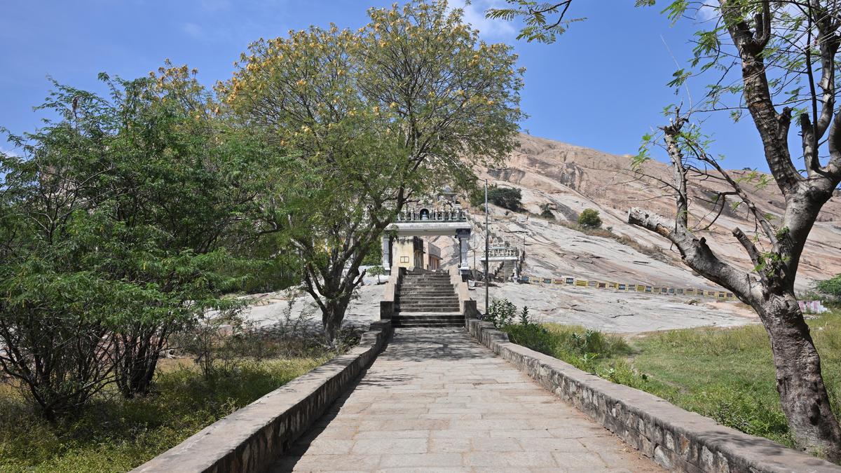 Thirupparankundram row: T.N. government to appeal in Supreme Court against Madras HC order, says Minister Regupathy