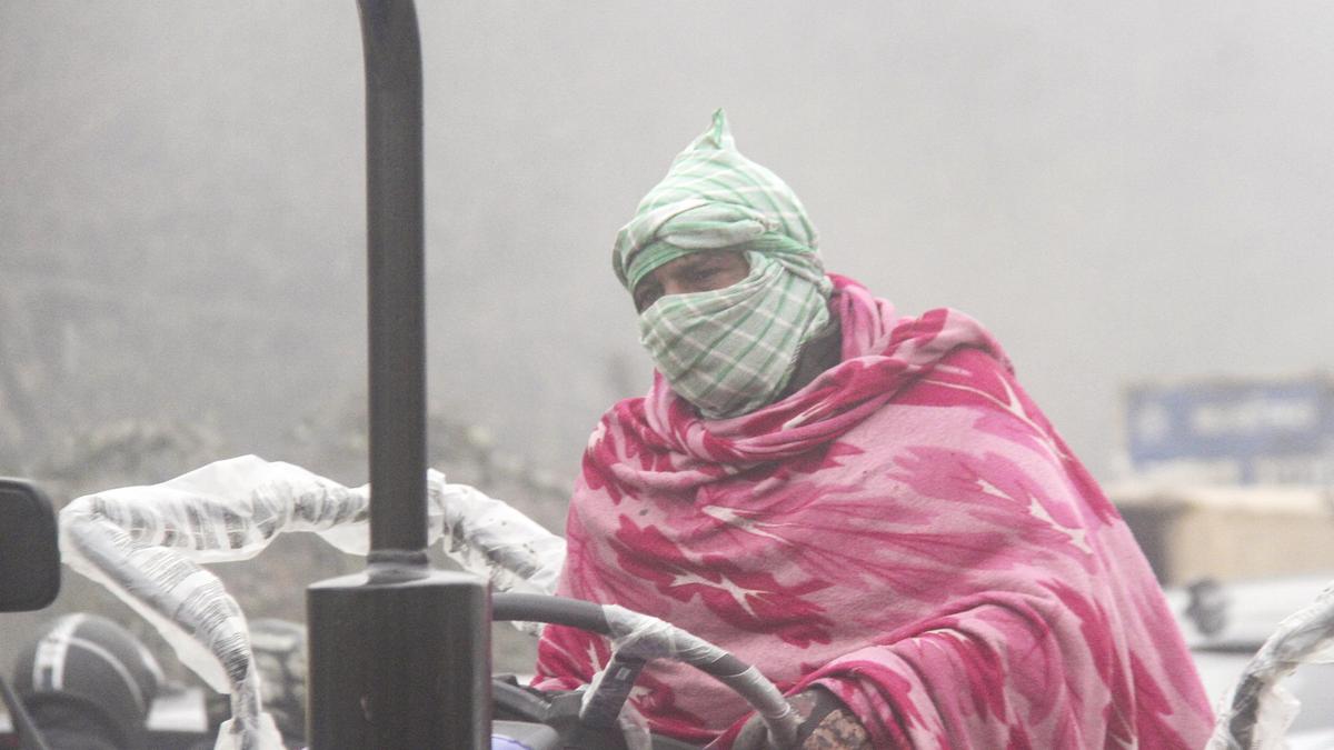 Near-zero temperatures freeze Rajasthan, Haryana; Gurugram sees frost with low of 0.6°C