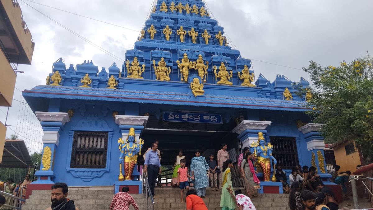 Over 3 lakh volunteers unite to clean 14,049 religious places ahead of Sankranti