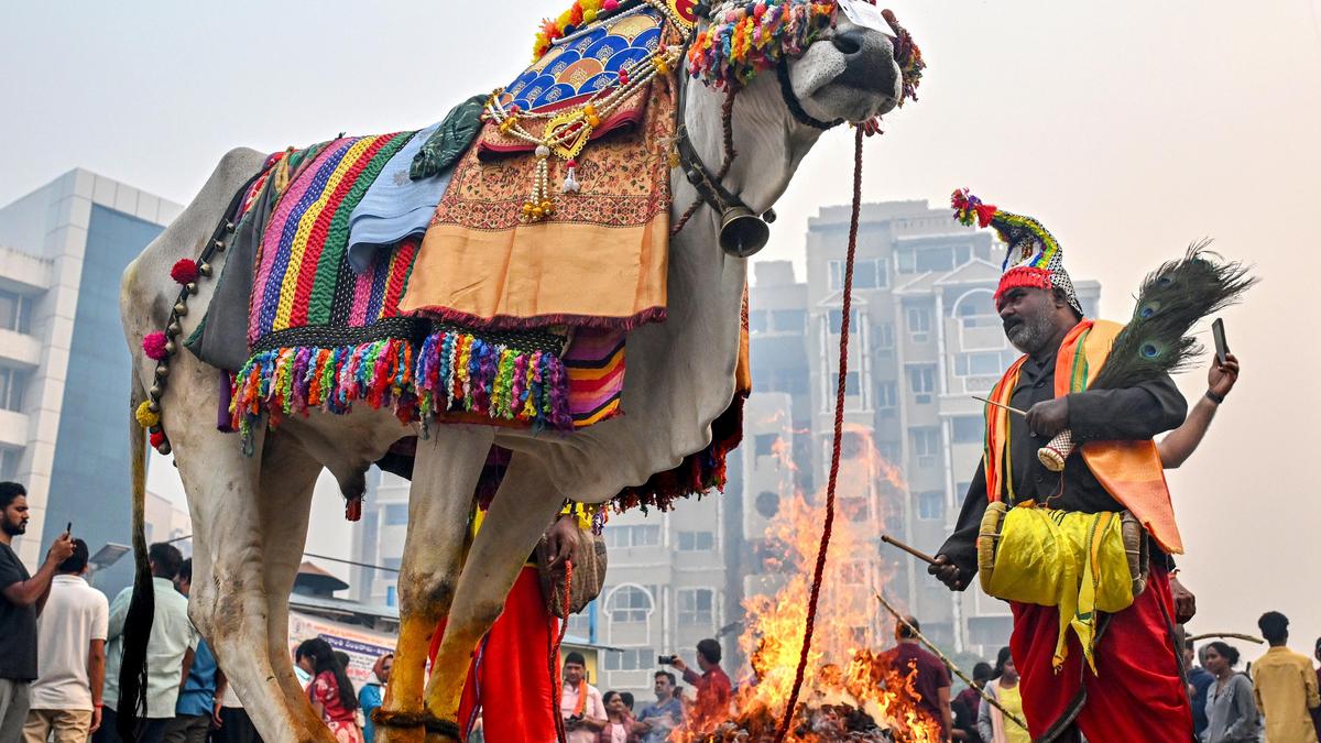 Cow dung bonfire, folk dances mark Bhogi celebrations in Vizag