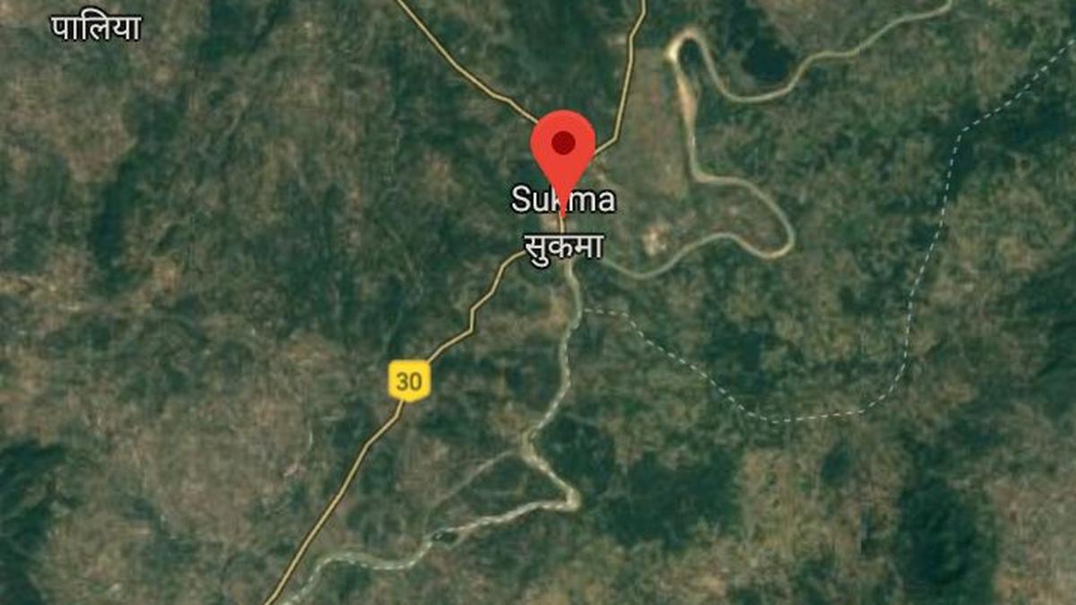 Twenty nine Maoists surrender in Chhattisgarh's Sukma