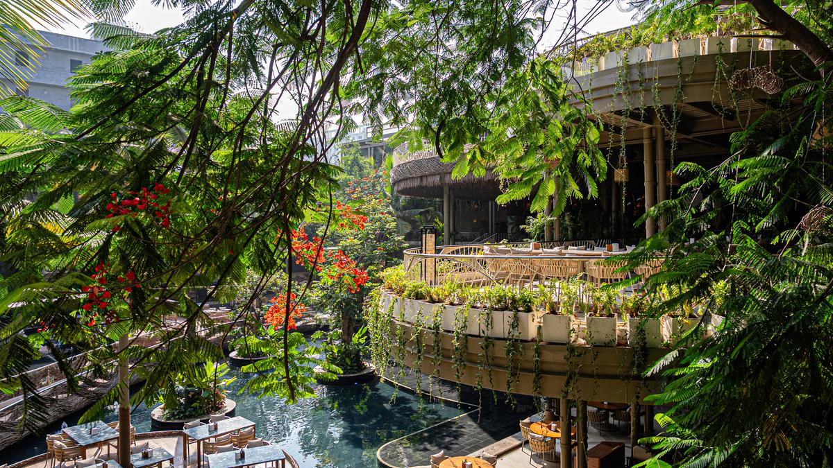 Explore these new restaurants in Bengaluru to kickstart January 2026