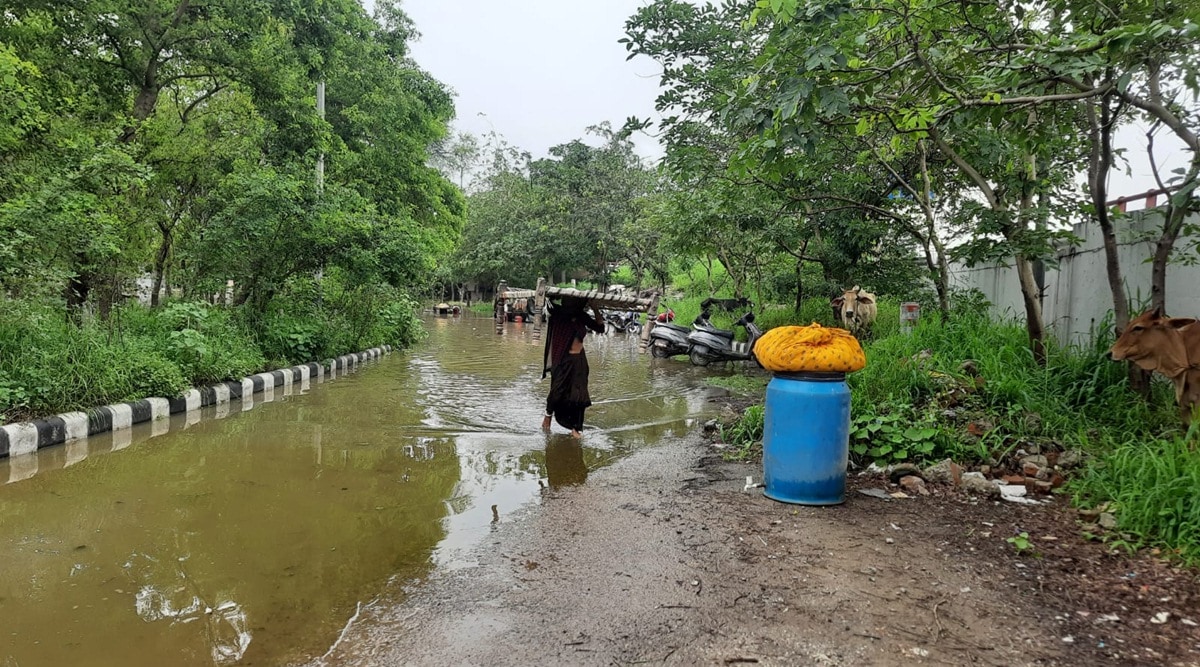India monsoon weather update: Yamuna, Narmada rise past danger marks; flooding in Delhi, Himachal