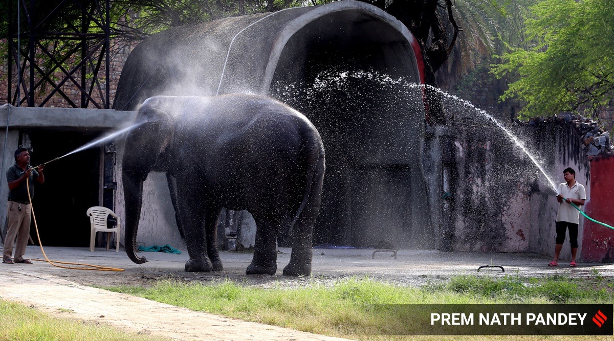 Temperature to drop in Delhi this week; rainfall likely in Punjab, Chandigarh
