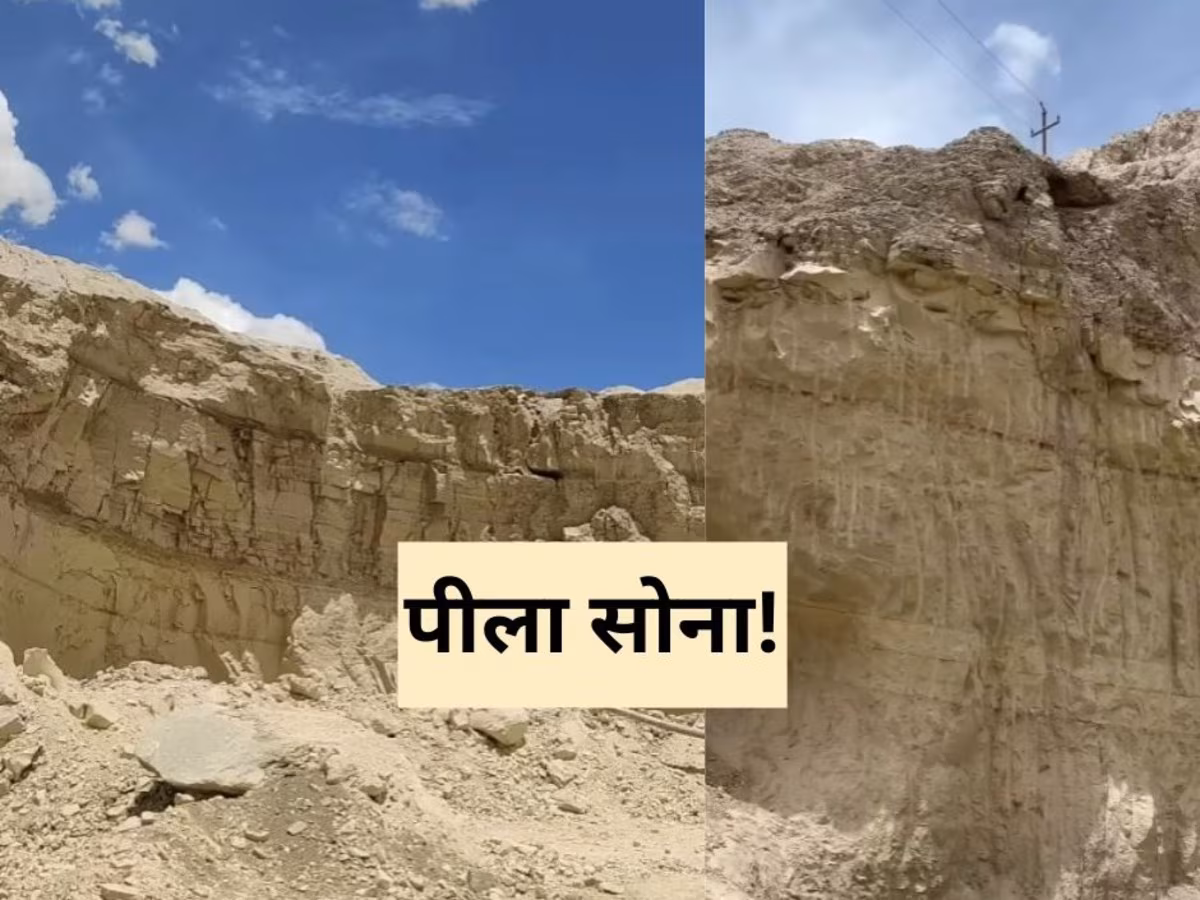 राजस्थान का 'पीला सोना', जिसका पाकिस्तान से है खास कनेक्शन; जानिए दिलचस्प बातें