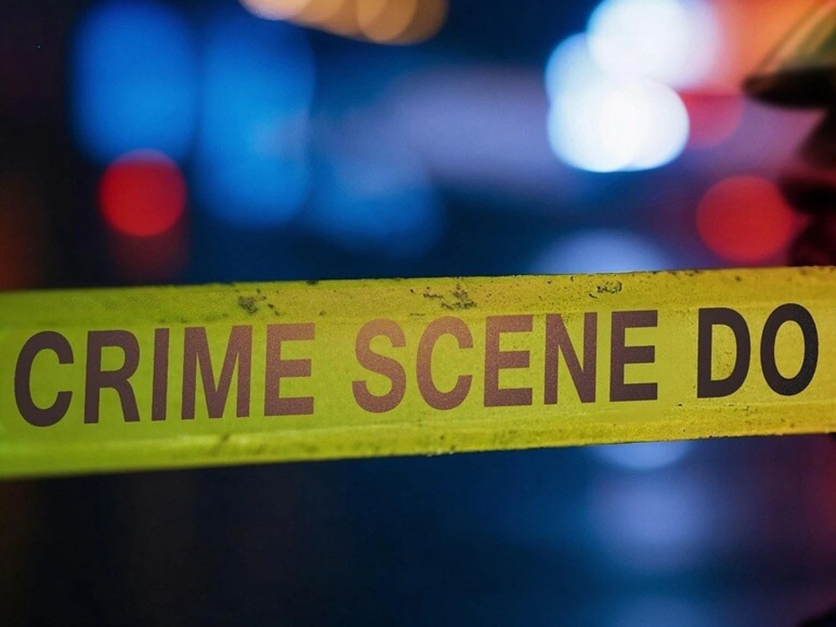 बहन बन गई साइबर ठग, दिल्ली से समझाने बिहार आया भाई; हत्या कर भागा