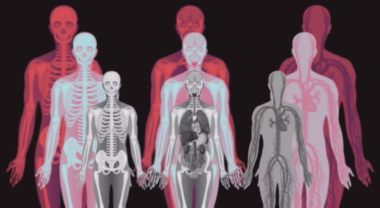 How much money is a human body worth? Inside a shocking industry turning remains into profit