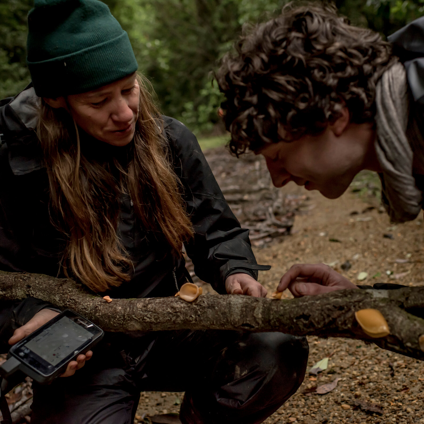 Toby Kiers, World Champion of Mycorrhizal Fungus