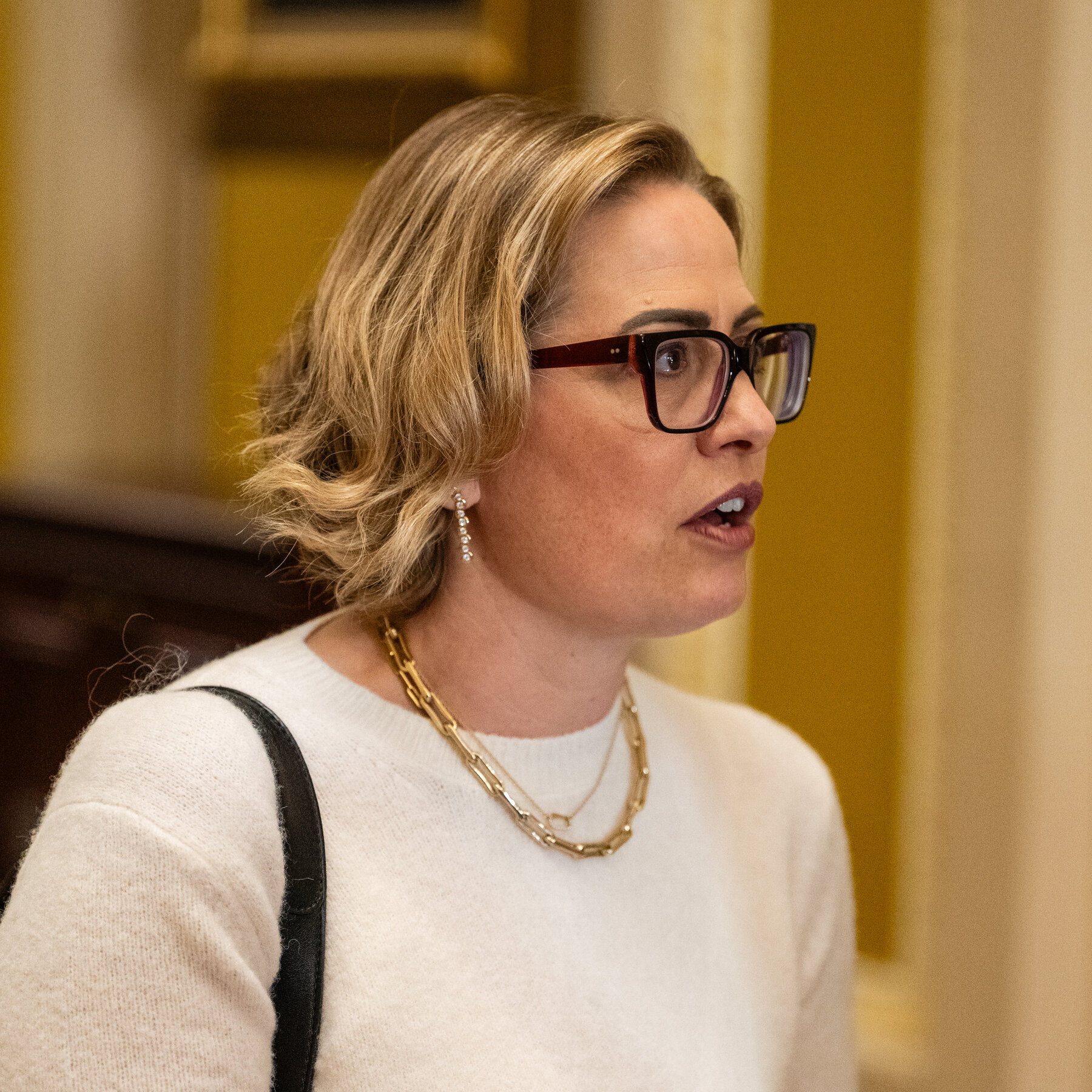 Former Senator Kyrsten Sinema Accused of Affair With Member of Security Team