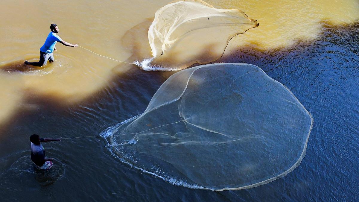 India’s fisheries and aquaculture, its promising course