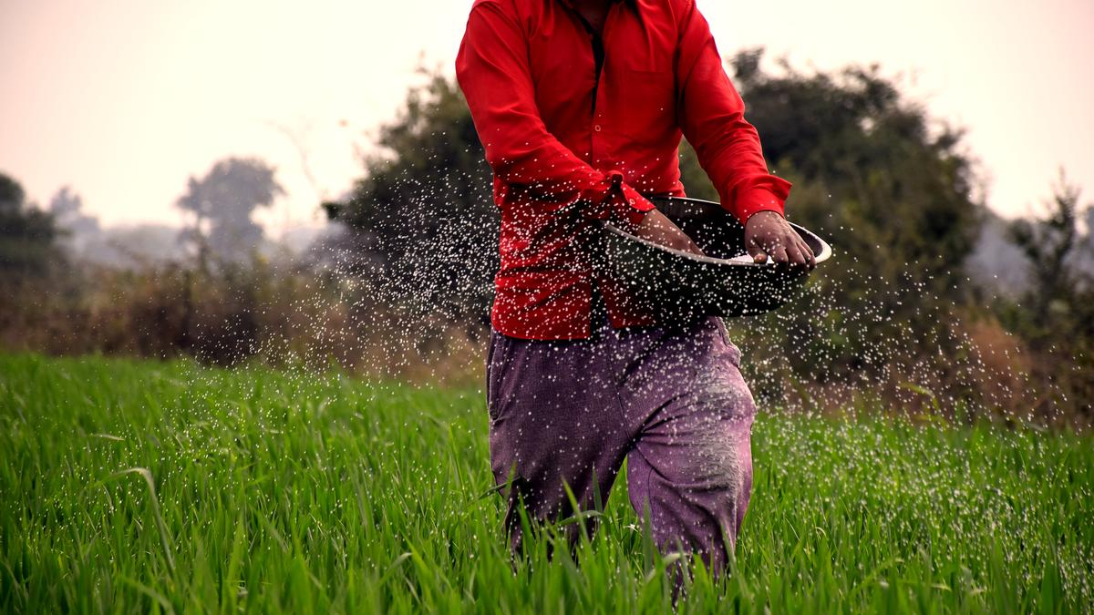 Centre suspends over 4,000 fertiliser distributor licences on hoarding charges