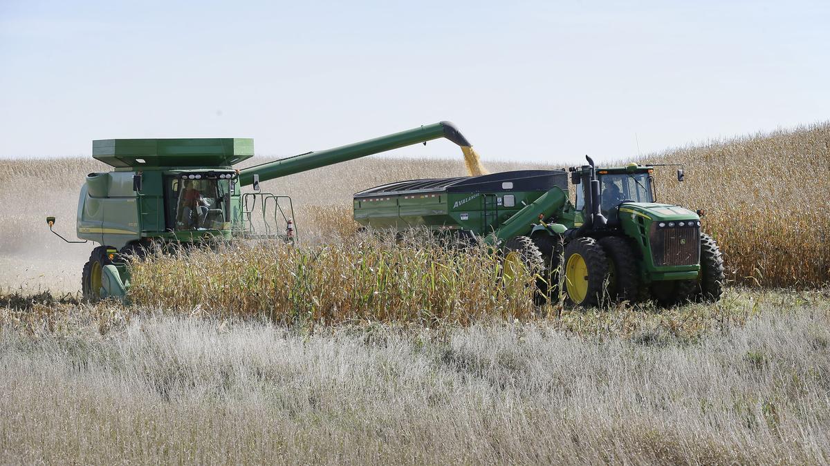 Why is India not importing corn from the U.S.? | Explained