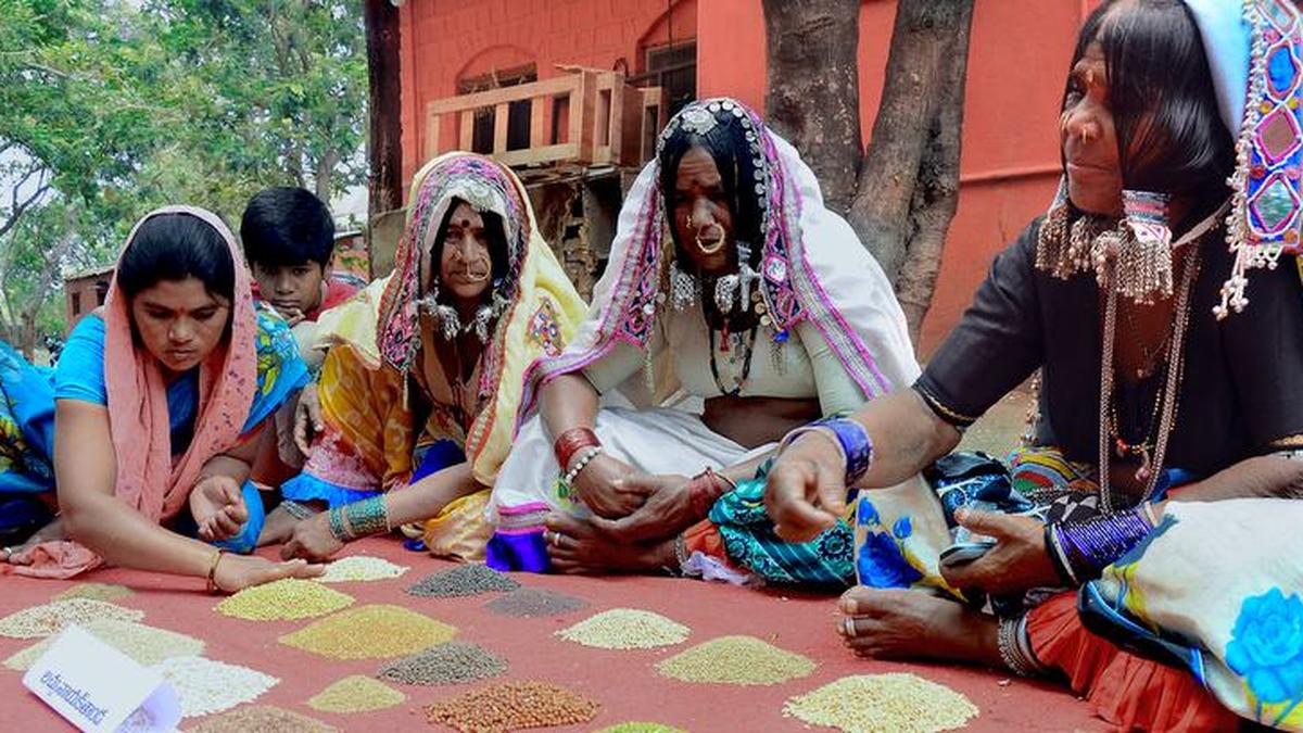 From millets to mistrust, a harvest gone sour