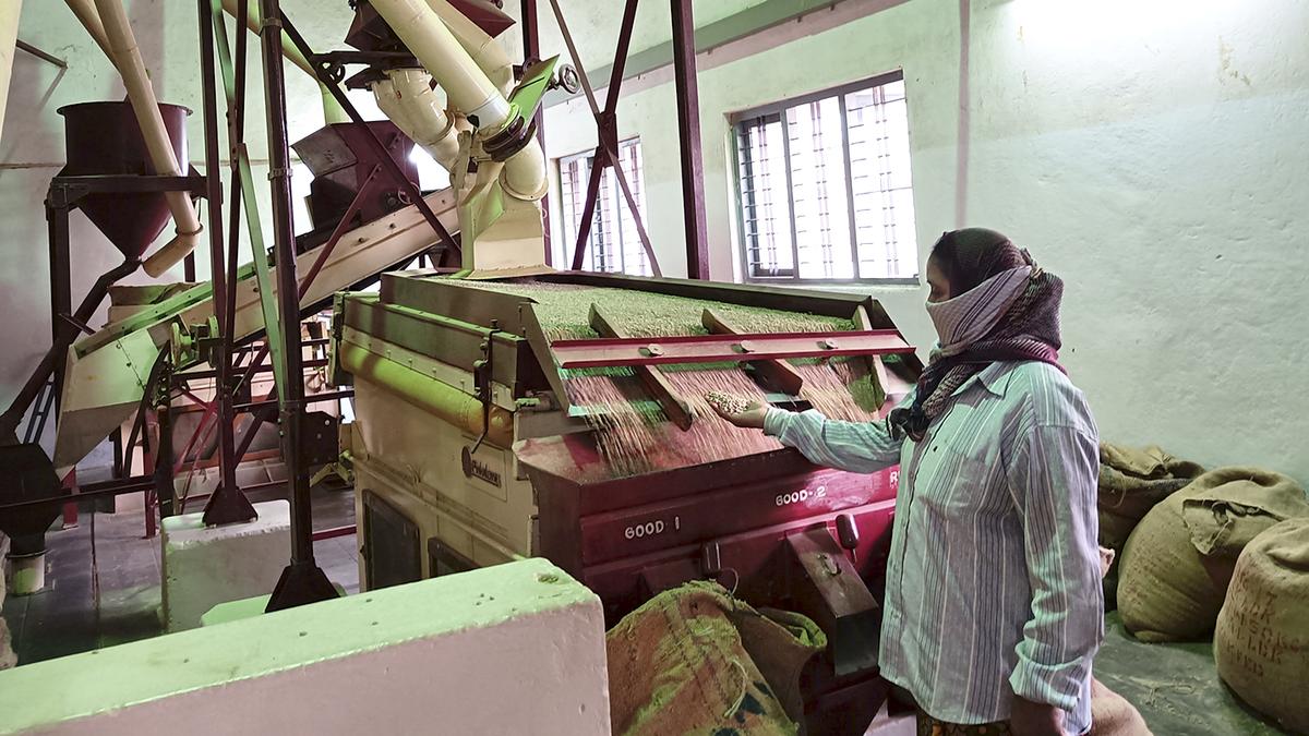 Big coffee planters in Karnataka see relief, but small planters continue to face labour shortage