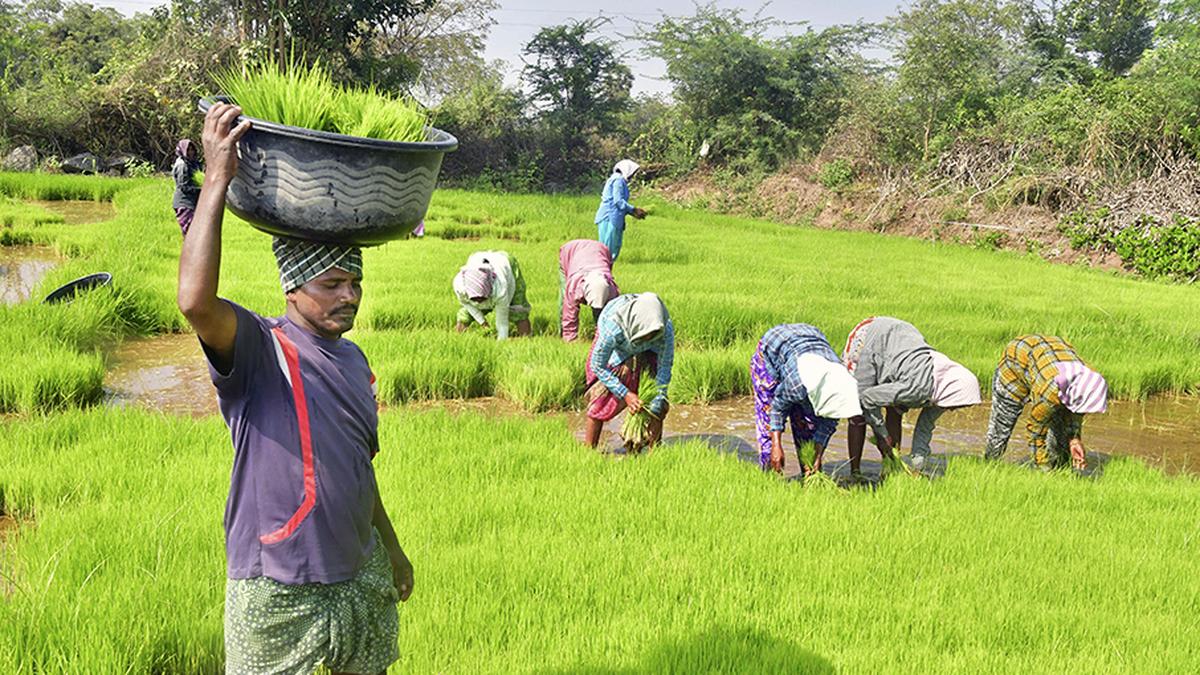 The way forward for PM-KISAN