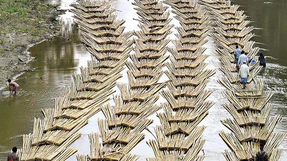 Incubation centres for bamboo-based startups in Northeast soon