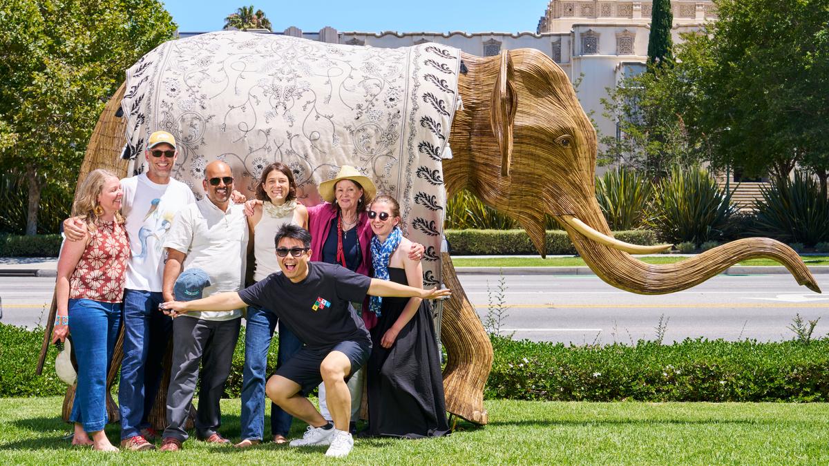 100 elephants and their designer blankets on The Great Elephant Migration