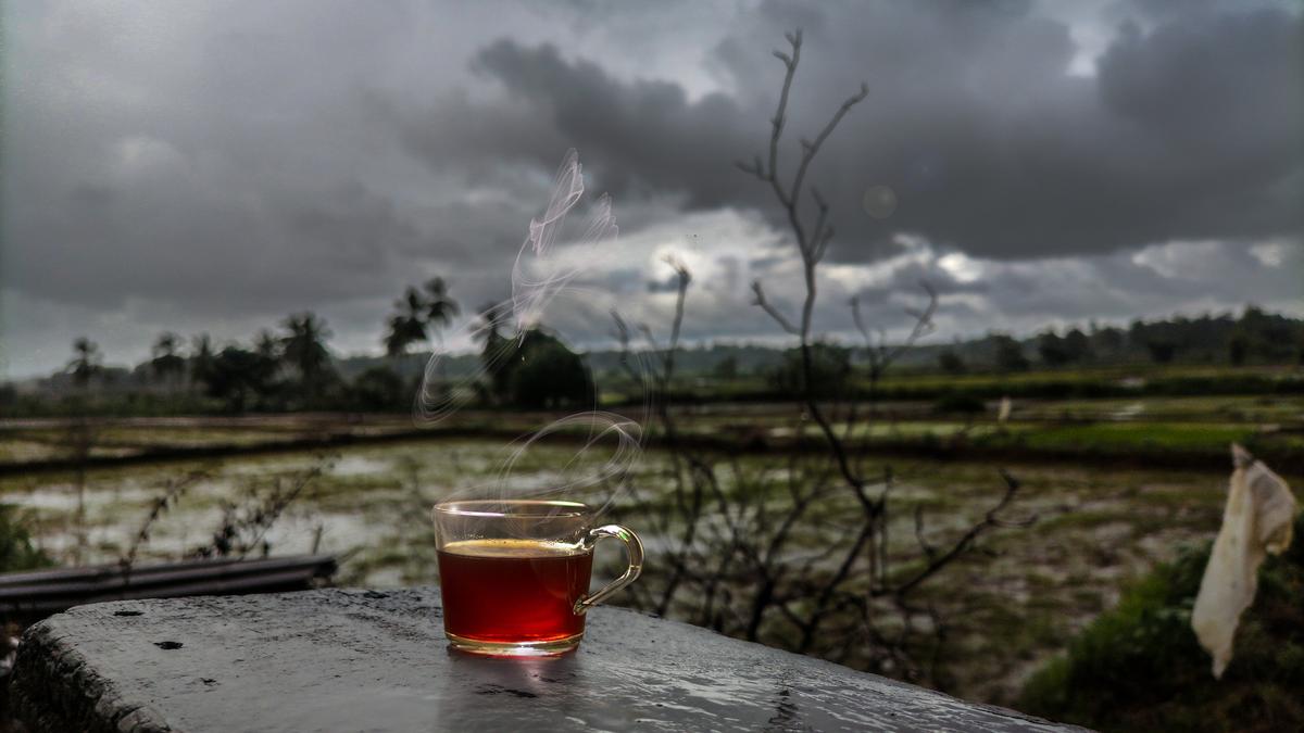 Pazham pori, congee, pepper rasam: Indian chefs on their favourite dishes for the monsoon 