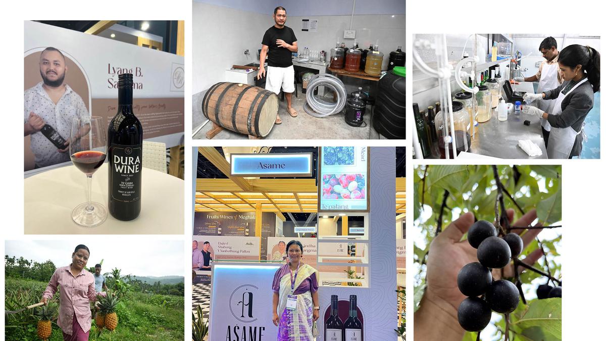 Meghalaya: Looking beyond the grape