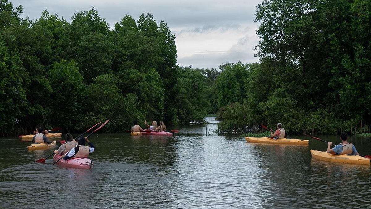 How Kerala’s love for water adventure took off in 2025