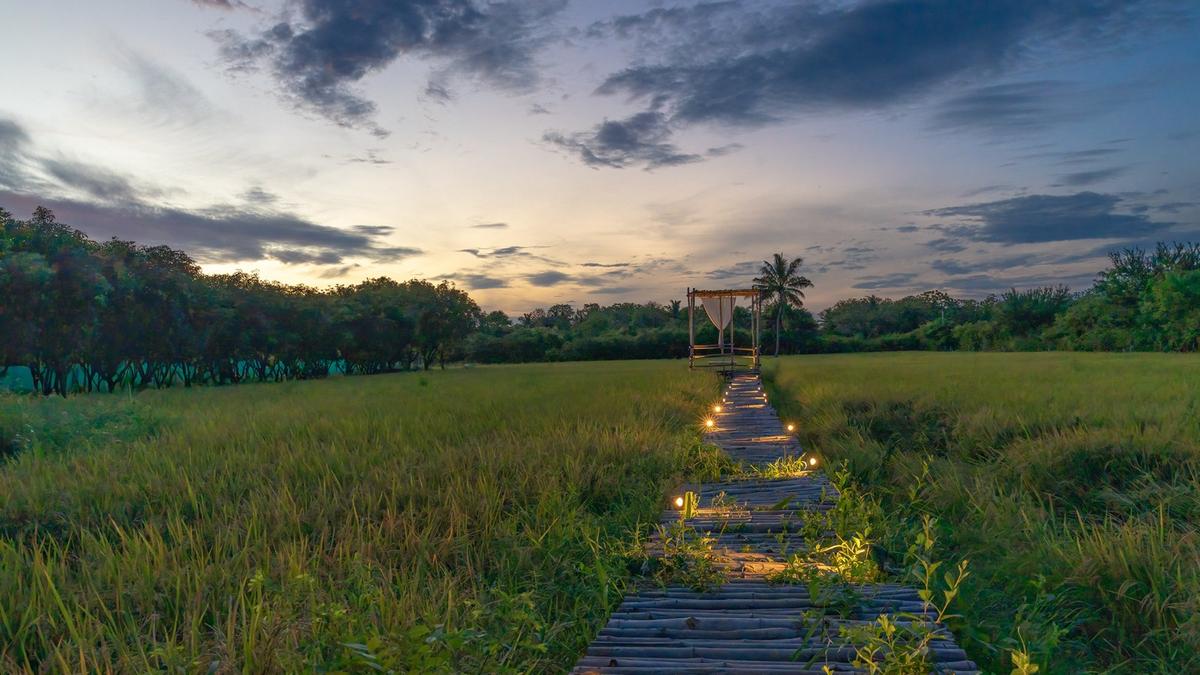 A Grecian-style luxury villa in Chennai places Nature over all else