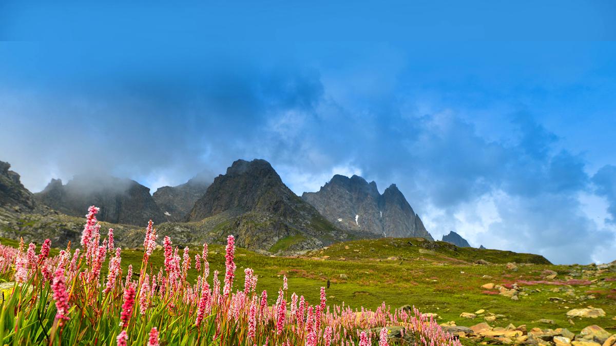 For hill-loving Bengal travellers, Uttarakhand is the flavour of the season