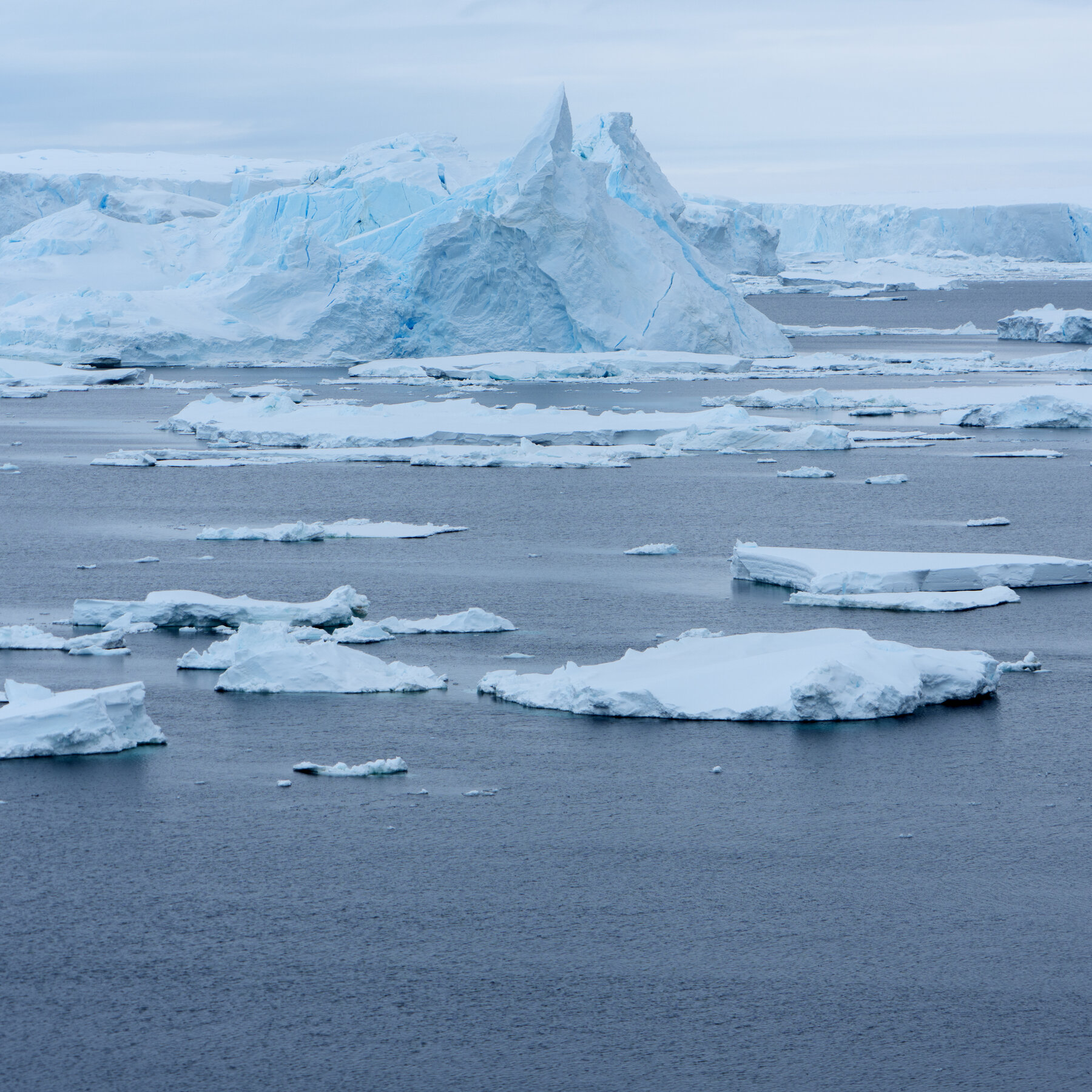 An Up-Close Look at the Thwaites Glacier