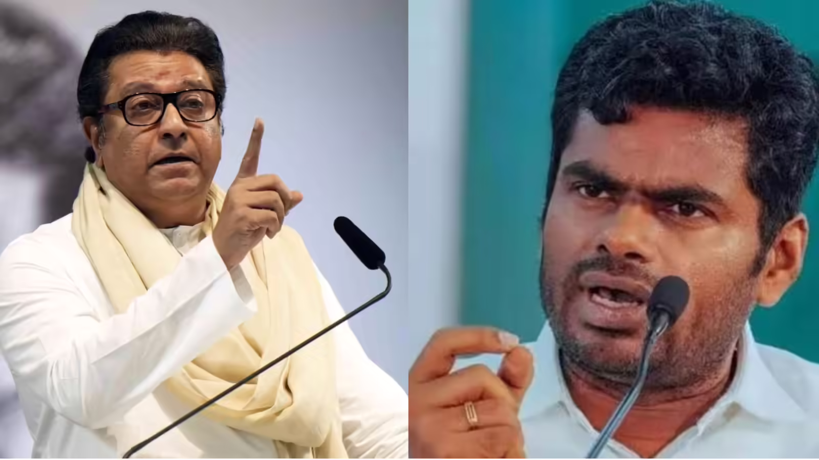 BMC election results 2026: BJP trolls Raj Thackeray with 'rasmalai'; Annamalai says Mumbaikars chose substance over divisiveness