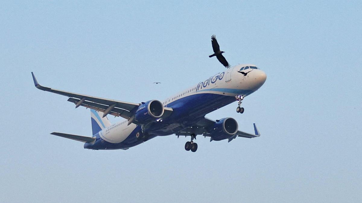 Refunds to all passengers hit by disruptions from December 3-5 processed, IndiGo tells DGCA