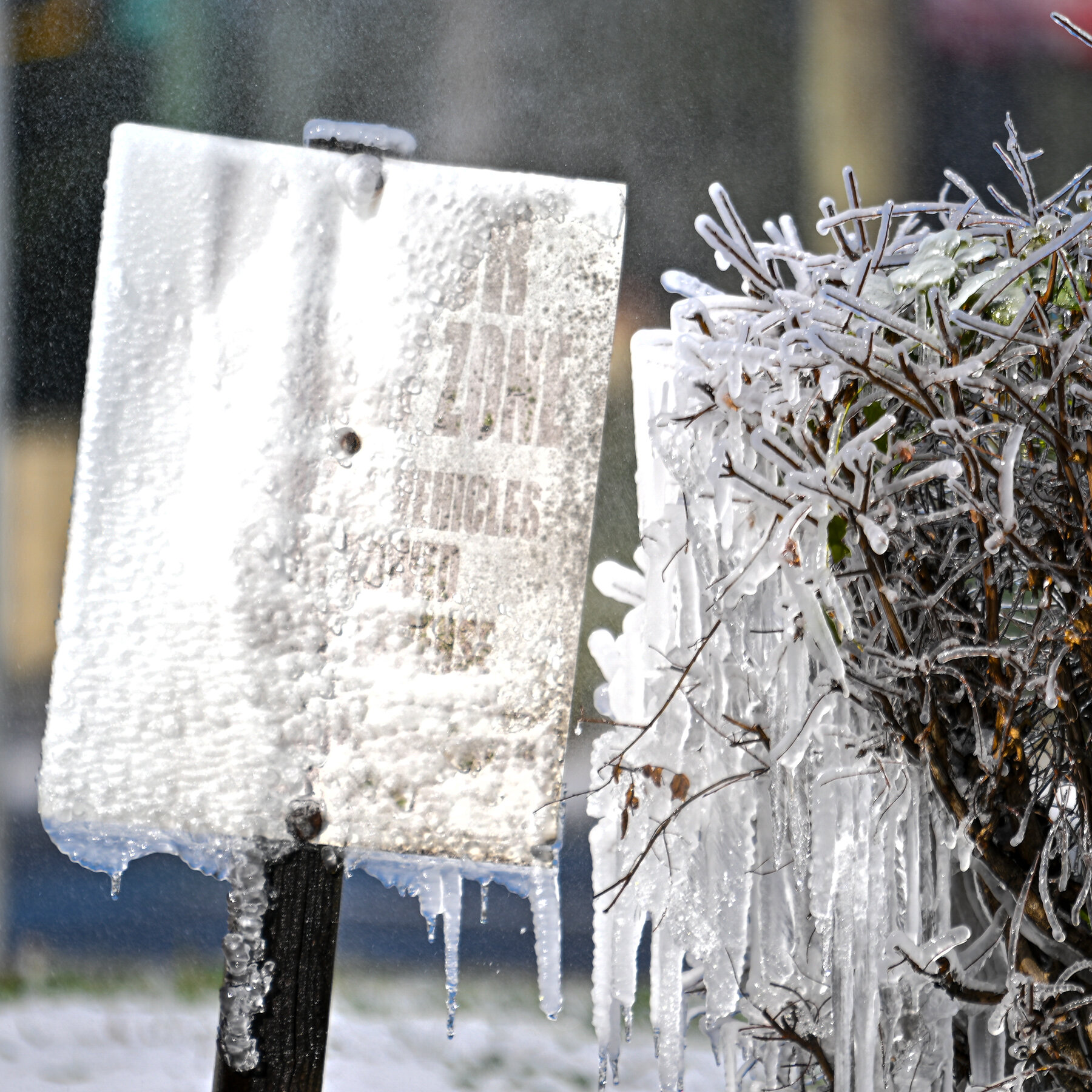 Snow, Seldom Seen in the South, Comes to Parts of Georgia