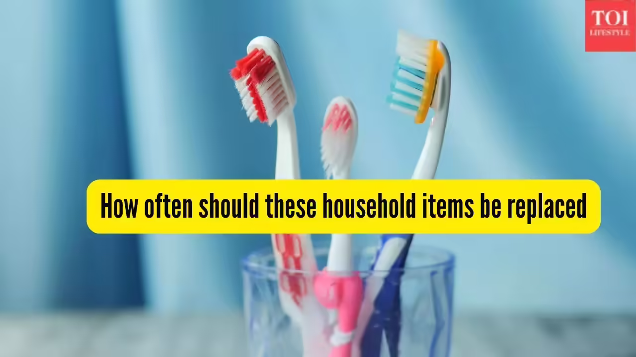 From toothbrush to towels, how often should these common household products be replaced; as per experts