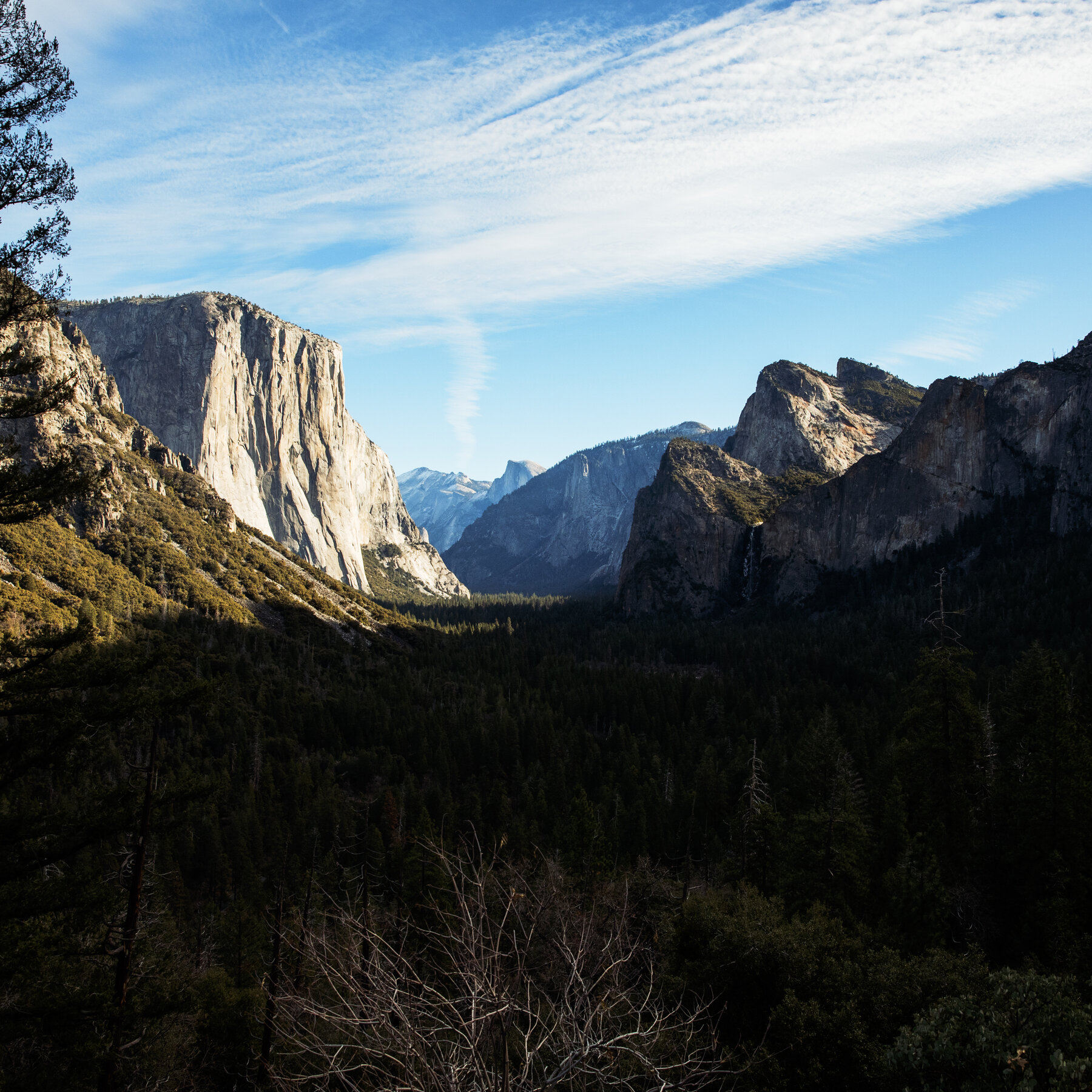 At Yosemite National Park, Staffing Cuts Mean Visitors Have Gone Wild
