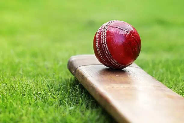 52nd Sharma-Mathur state-level cricket tournament in Jaipur from January 21