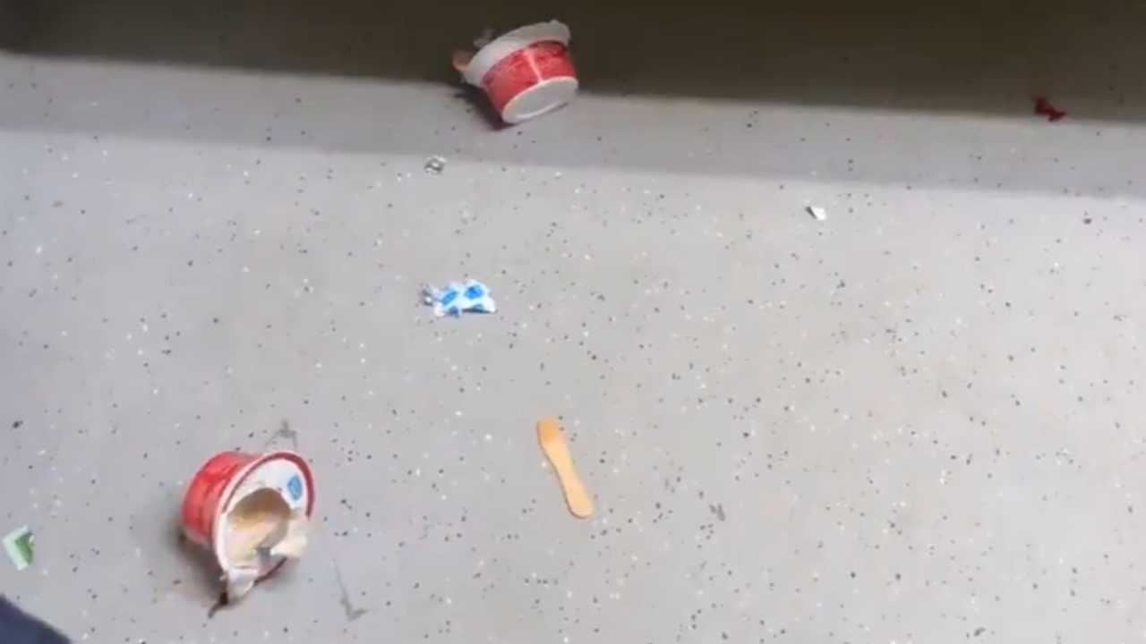 Watch: Vande Bharat Sleeper littered hours after inaugural run; video goes viral