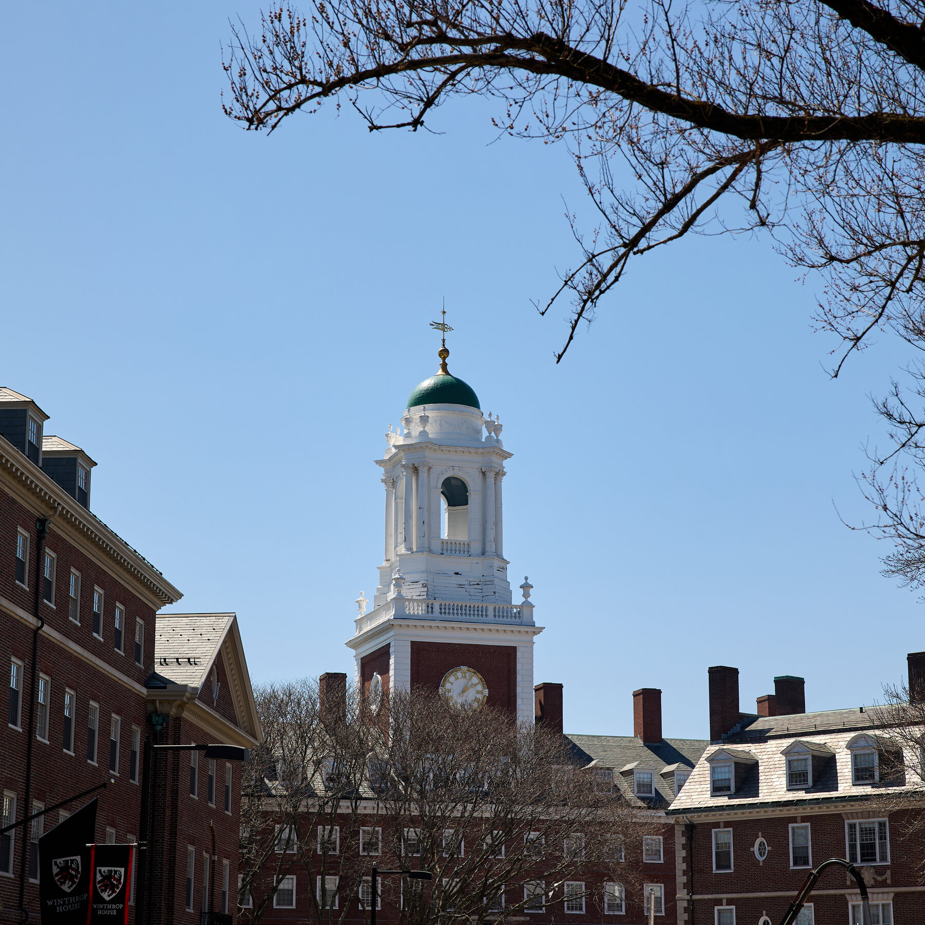 Inside Trump’s Campaign to Tame Higher Education