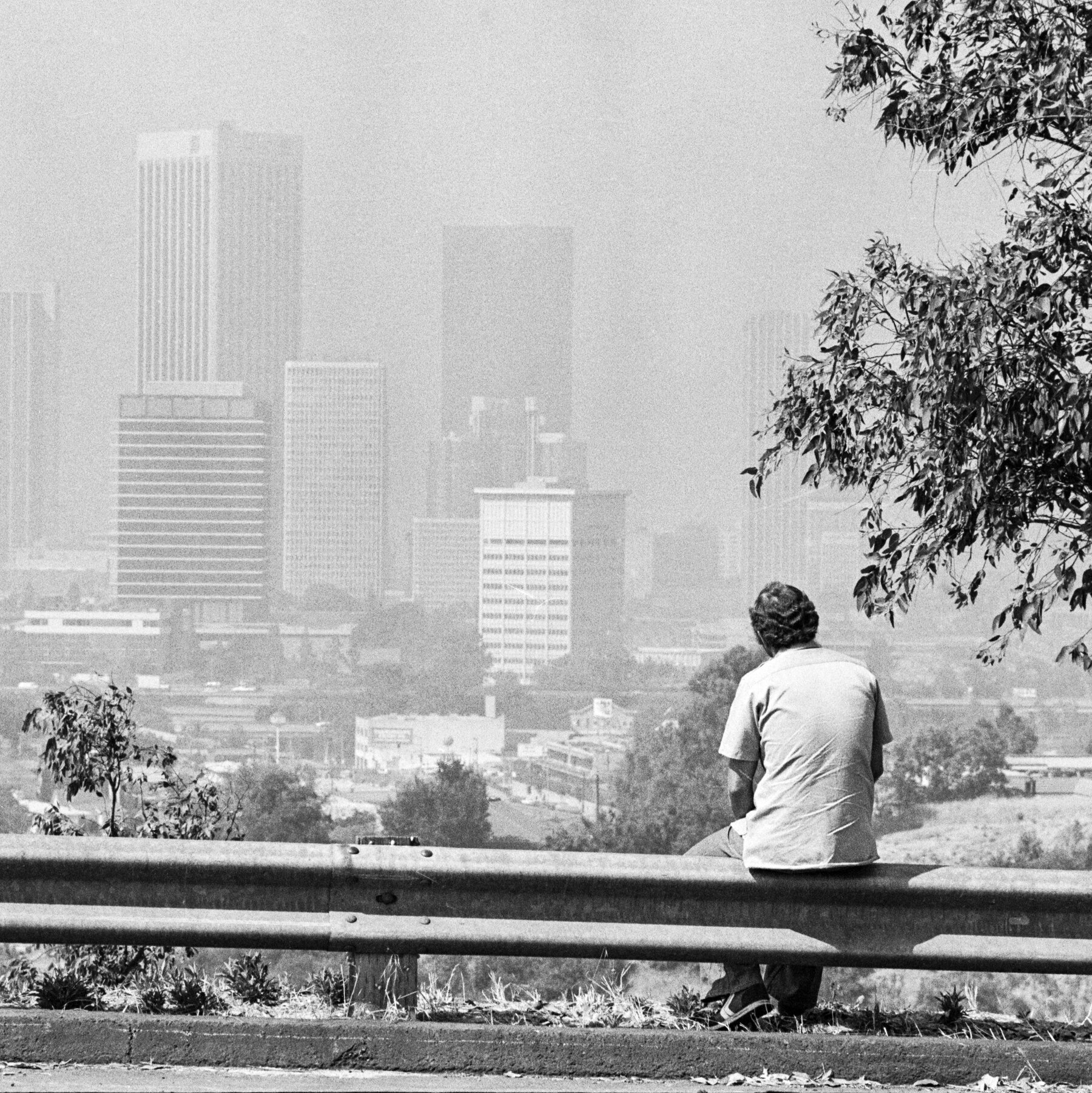 What’s a Human Life Worth? The E.P.A. Says Zero Dollars.