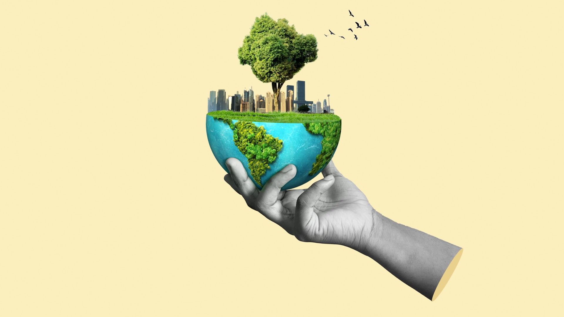 Can Film & TV Drive Climate Action? IPSOS Survey Asks Creatives For Their Take On Barriers & Opportunities