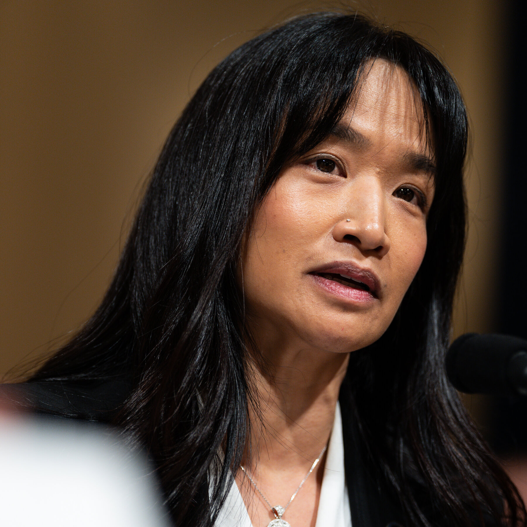 T.S.A. Leader Defends Working With ICE to Congress