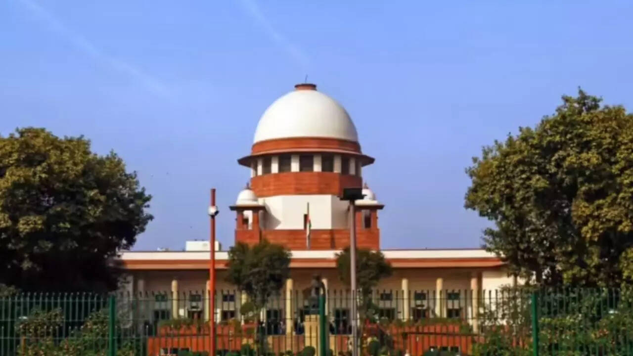 Viral courtroom exchange: Supreme Court asks lawyer to apologise to Jharkhand HC — what it said