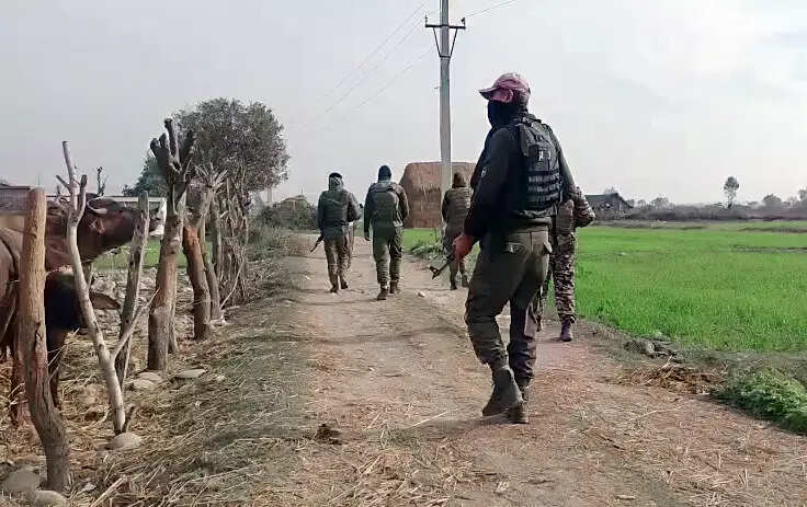 J&amp;K encounter: Jaish terrorist killed in Kathua; was a Pakistani national