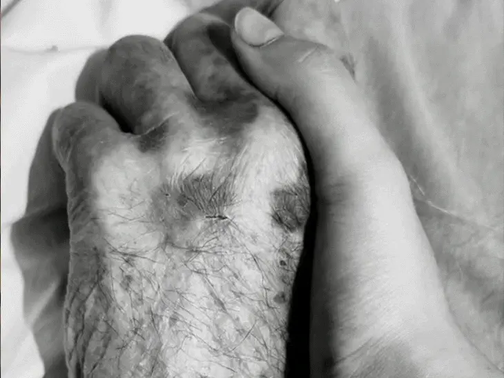 सैयारा फेम अनीत पड्डा के दादा का निधन: Alzheimer से जूझ रहे दादाजी को श्रद्धांजलि