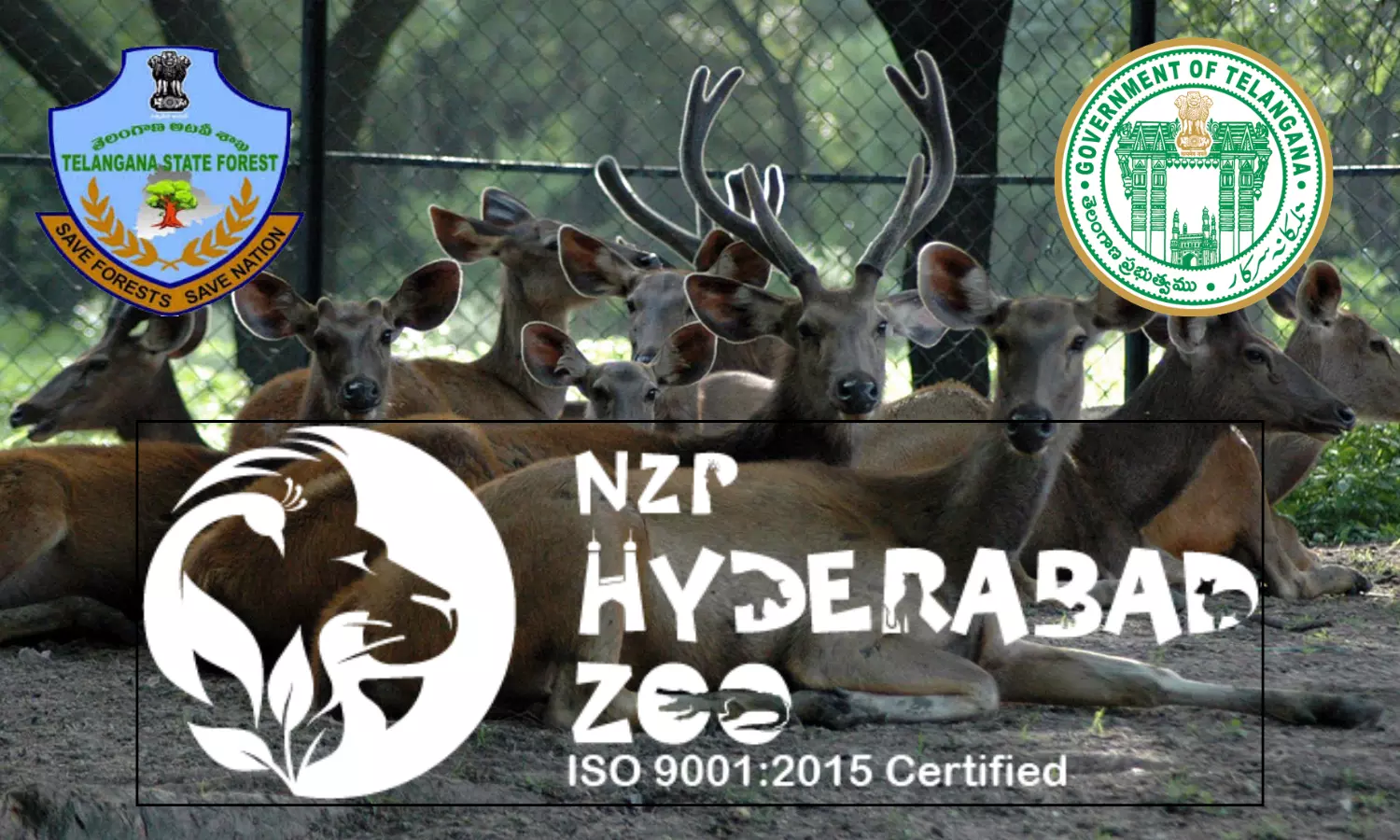 TelanganaBudget focuses on zoo upgrades, wildlife conservation, and visitor amenities