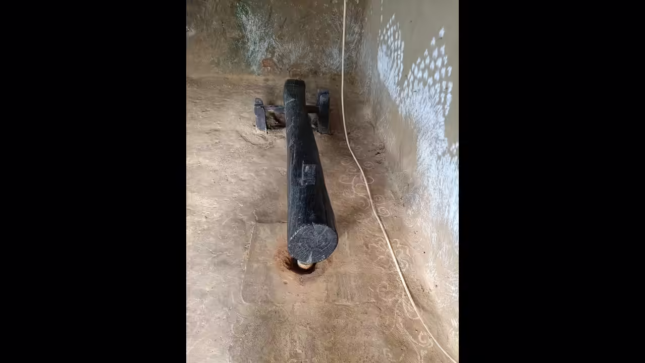 feed top carousel