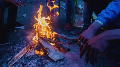 IMD Predicts Winter Fog, Cold Waves and Coastal Winds: Travel Advisory